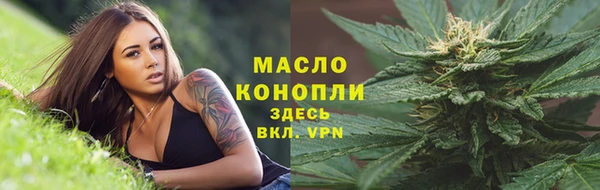мет Няндома