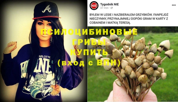 прущая мука Тавда