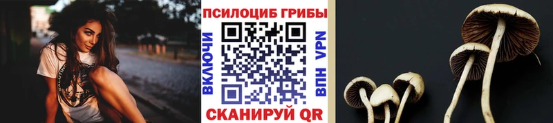 blacksprut   Электрогорск  Галлюциногенные грибы мицелий 