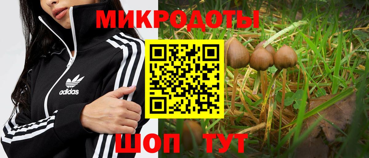 Электрогорск  Галлюциногенные грибы мицелий  Вход с VPN 